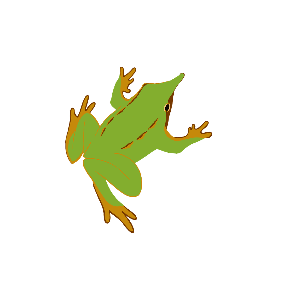 Ilustración de Ranita de Darwin